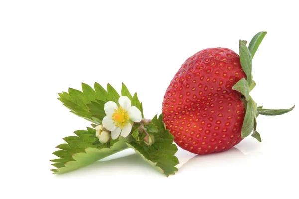 Strawberry with Flower Leaf Sprig — Stock Photo, Image