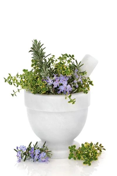 Rosemary and Thyme Herbs — Stock Photo, Image