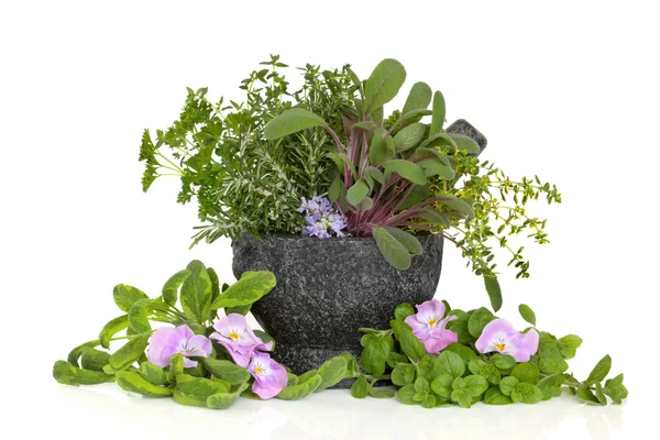 Herb list a květ výběr — Stock fotografie