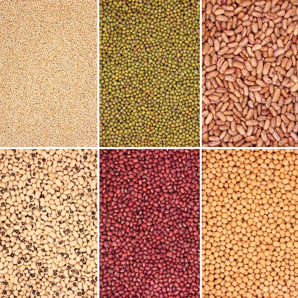 Pulses Selection — Stock Photo, Image