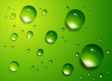 Water drops vector background. clipart
