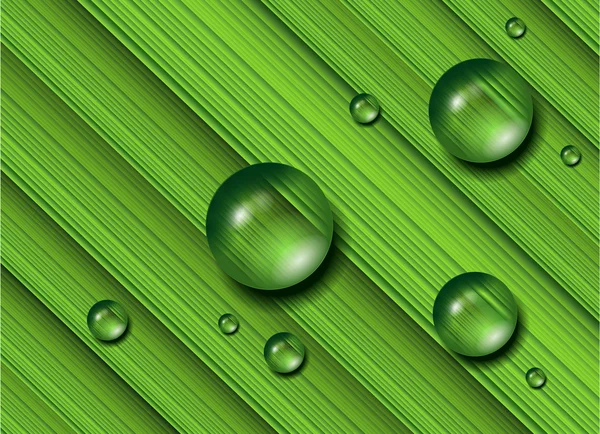 Gotas de agua sobre hierba verde, vector . — Vector de stock