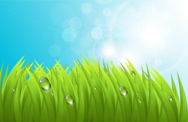 Vector grass background clipart