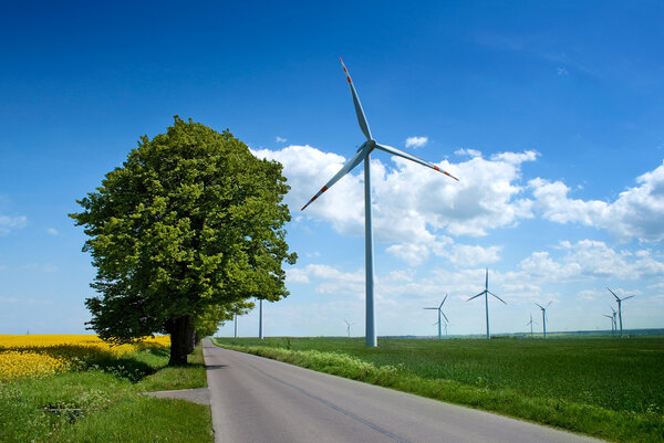 Summer landscape with windmills