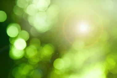 Nature bokeh background clipart