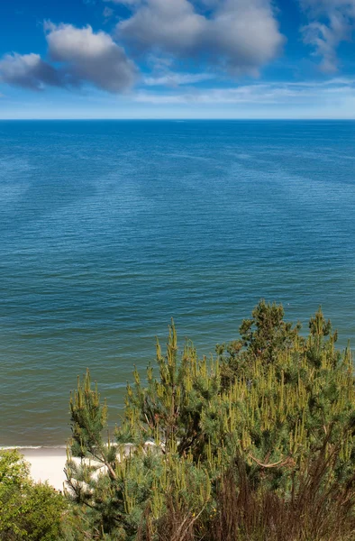 バルト海の風景 — ストック写真
