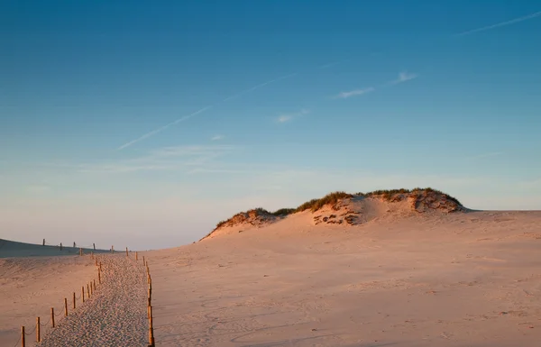 Sanddyner vid Słowiński national park — Stockfoto