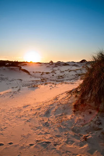 Dunes at sunset — Stock Photo, Image