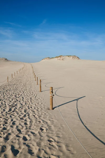 Pustynny krajobraz — Zdjęcie stockowe