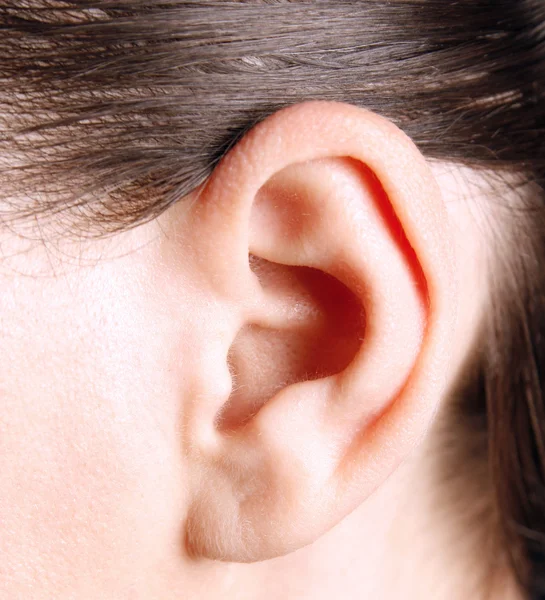 Menselijk oor Stockafbeelding