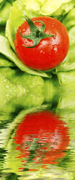 Pomidorów i sałaty — Zdjęcie stockowe