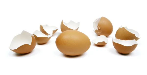 stock image Broken egg shells