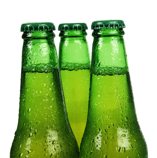 stock image Beer bottle