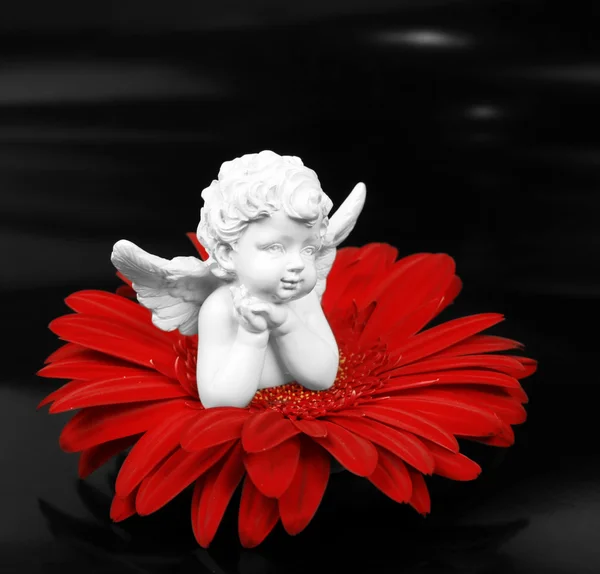 Engel und eine Blume — Stockfoto