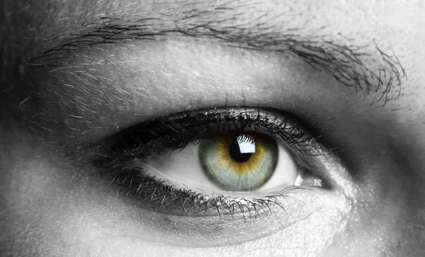 Closeup of a beautiful eye — Stock Photo, Image