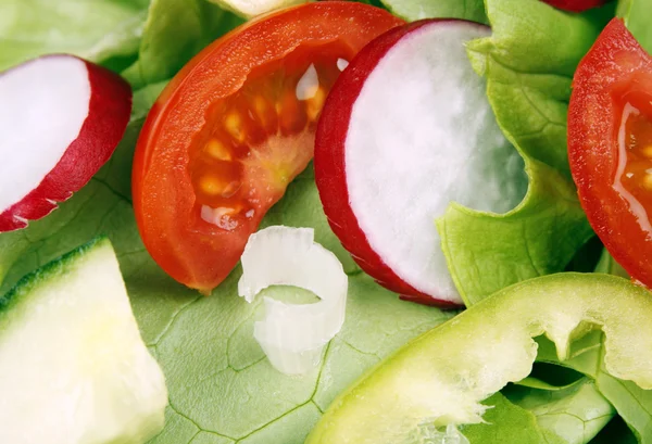Saláta Hozzávalók — Stock Fotó