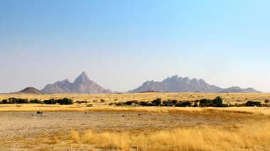 Spitzkoppe