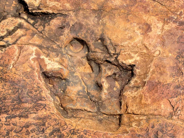 Dinosaur footprint — Stock Photo, Image