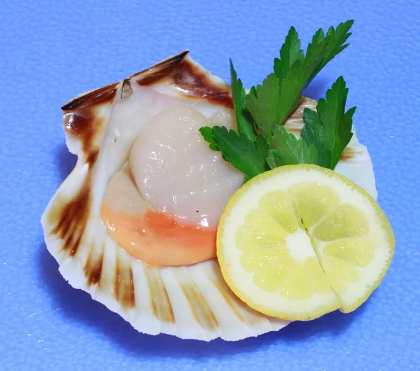 Seafood scallop — Stock Photo, Image