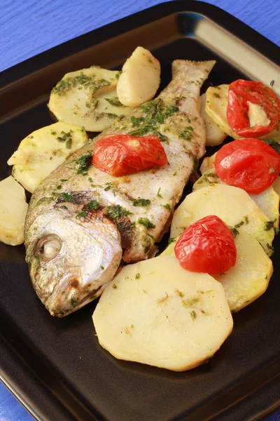 Fish with potatoes and tomatoes — Stock Photo, Image