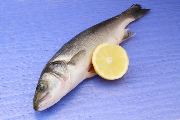 stock image Sea bass