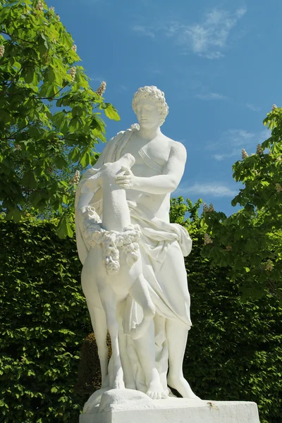 Statue i Versailles – stockfoto