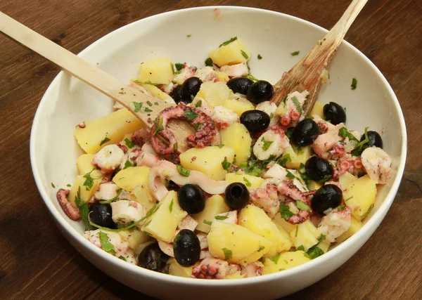 stock image Octopus salad