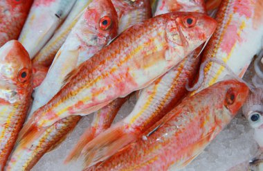 Red mullet clipart