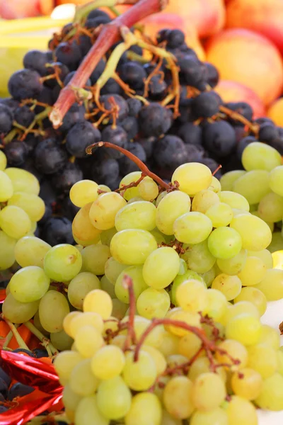 Winogrona białe i czarne — Zdjęcie stockowe