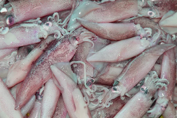 Calamares —  Fotos de Stock