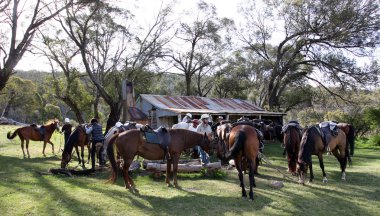 horseriders grubu