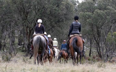 Group of horseriders clipart