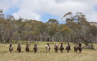 Group of horseriders clipart