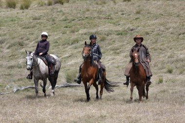 Group of horseriders clipart