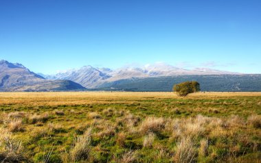 Mount Cook