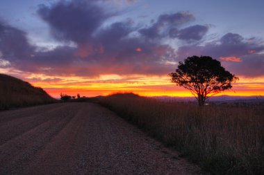 Sunset in Cowra clipart