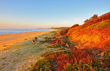 Sunrise beach tarafından