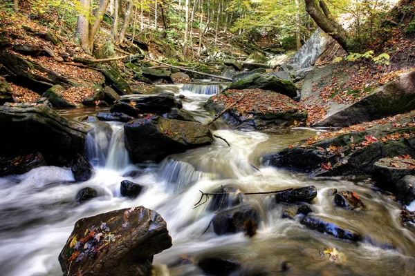 Malé Lesní řeka — Stock fotografie