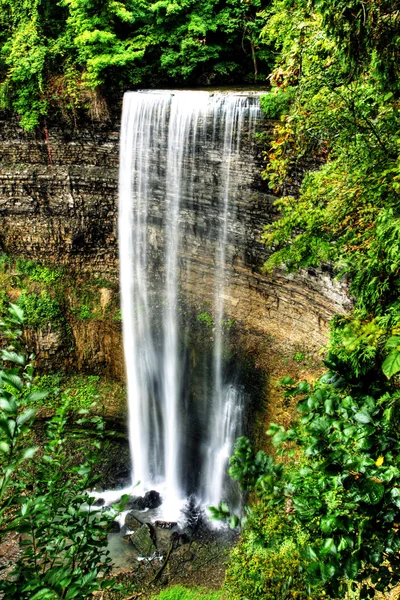 Cachoeira no pequeno rio da floresta — Fotografia de Stock