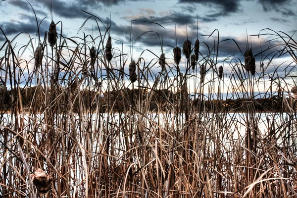 湖 ginninderra — ストック写真