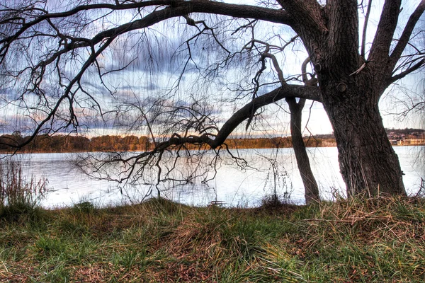Göl ginninderra — Stok fotoğraf