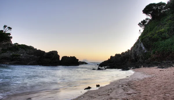 Rocks beach mühür — Stok fotoğraf