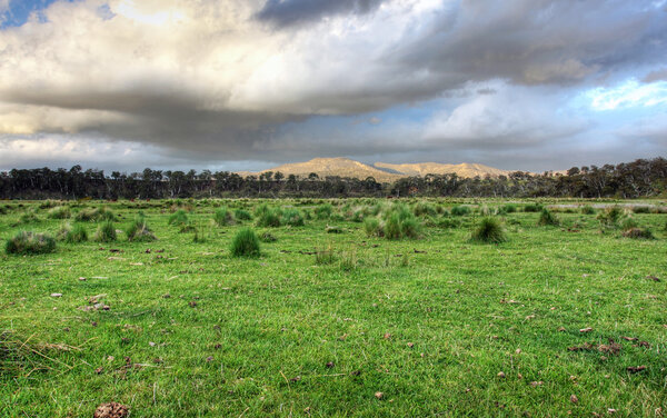 Snowy Mountains Horse Trekking Adventure