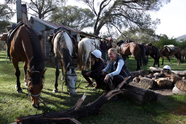 Skupina koně jezdců v outback — Stock fotografie