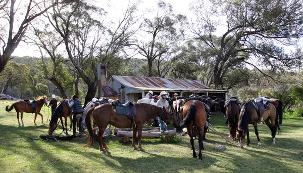 Grupo de Cavaleiros no Outback — Fotografia de Stock