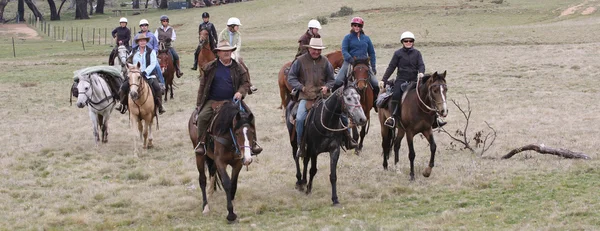アウトバックに馬のライダーのグループ — ストック写真