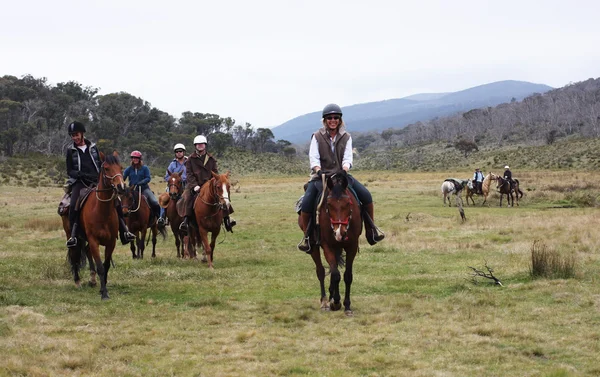 Gruppe von Reitern im Outback — Stockfoto