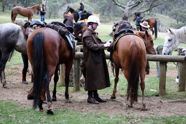 男性骑乘马 — 图库照片