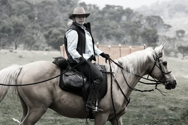 Cavallo femminile a cavallo — Foto Stock