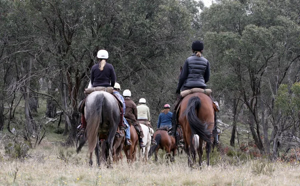 Group of horseriders — Stock Photo, Image